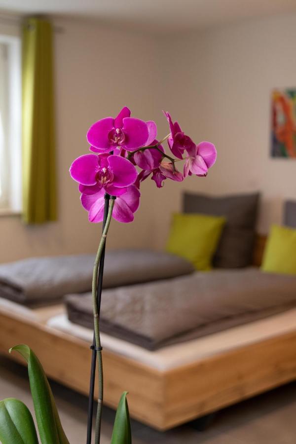 Apartment Alte Raiffeisenkasse Ротенбург-на-Таубере Экстерьер фото